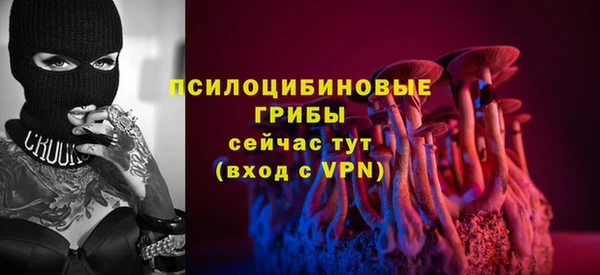 дживик Богородицк