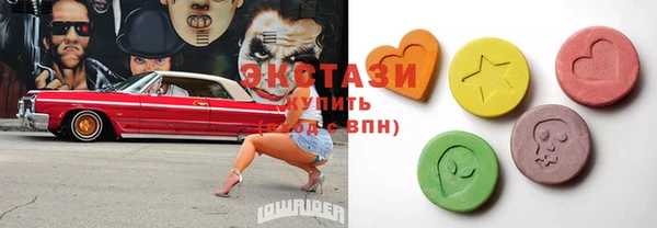 дживик Богородицк