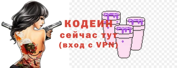 дживик Богородицк
