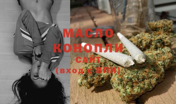 дживик Богородицк