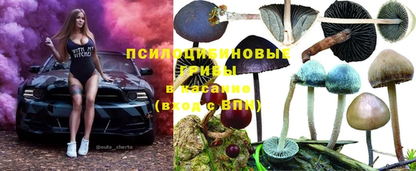 a pvp Богородск