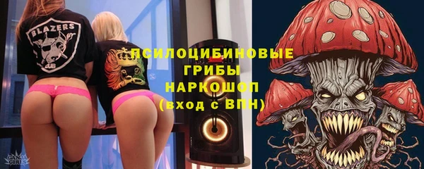 дживик Богородицк