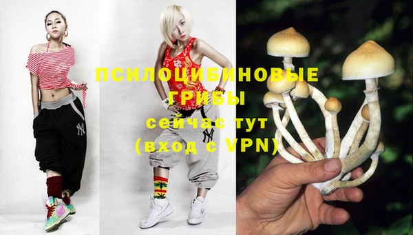 a pvp Богородск