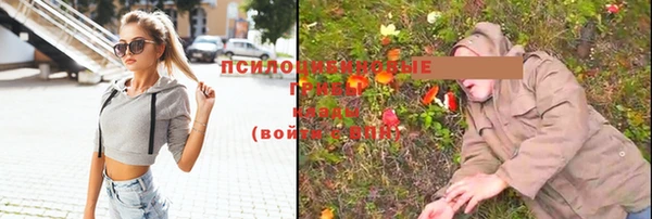 a pvp Богородск