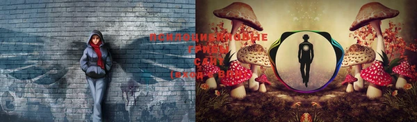 дживик Богородицк