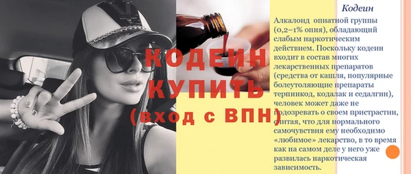 дживик Богородицк