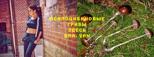 a pvp Богородск