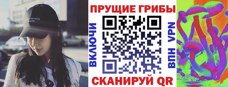 где купить   Княгинино  Галлюциногенные грибы Psilocybe 
