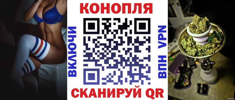 Бошки Шишки планчик  Княгинино 